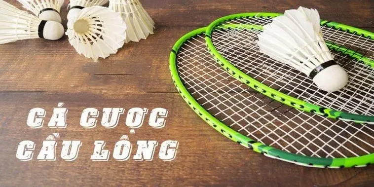 Hướng Dẫn Cách Chơi Cá Cược Cầu Lông Tại VN88 Từ A Đến Z